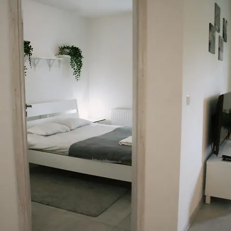 Apartamenty Feniks Torun, Starowka, Centrum -Prywatny Parking, Balkon, Smart Tv Exterior photo