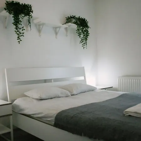 Apartamenty Feniks Torun, Starowka, Centrum -Prywatny Parking, Balkon, Smart Tv Exterior photo