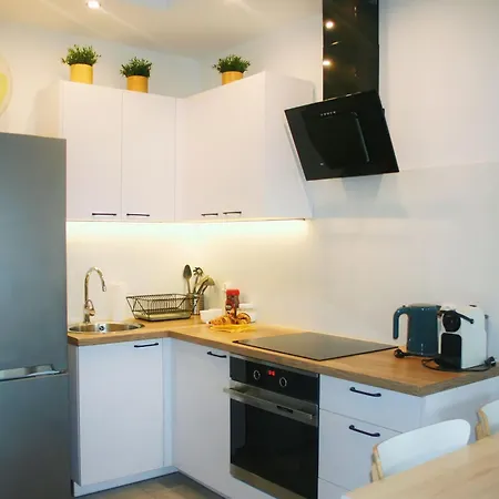 Apartamenty Feniks Torun, Starowka, Centrum -Prywatny Parking, Balkon, Smart Tv Exterior photo